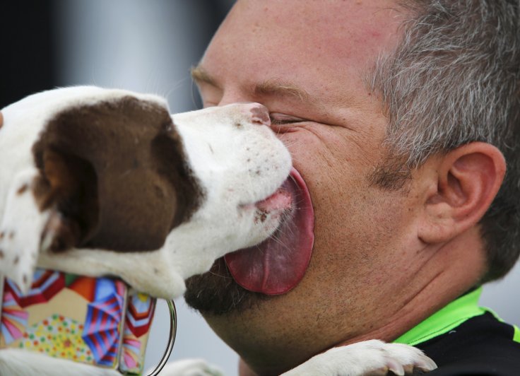 #79 MAN IN A COMA FOR 5 MONTHS & LOST BOTH KIDNEYS AFTER DOG LICKS HIS FACE - THIS IS ESPECIALLY WHY YOU DON'T FRENCH KISS ANIMALS