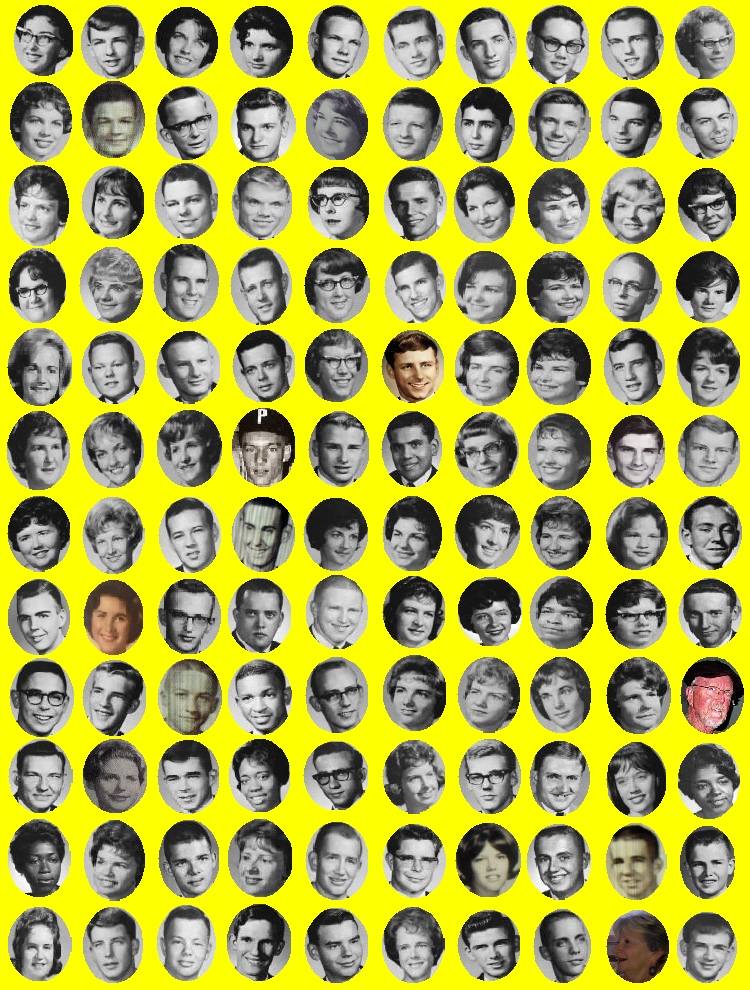 #65 MORE GORGEOUS 60'S SONGS - WHAT EVER HAPPENED TO ??????????